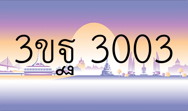 3ขฐ 3003